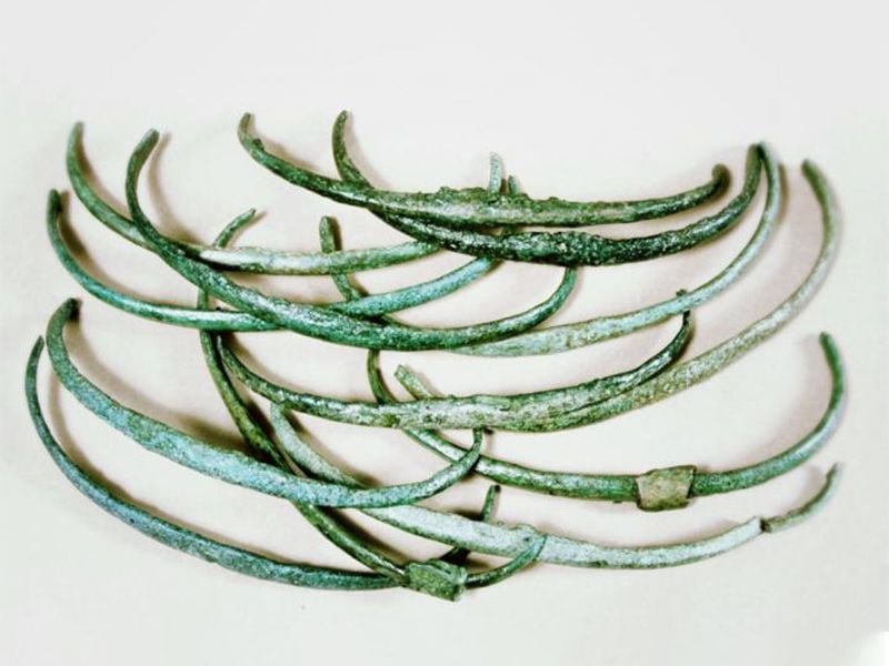 Bronze Age ribs