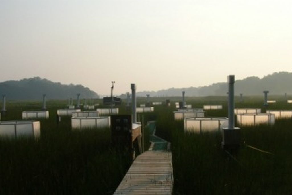 The Global Change Research Wetland