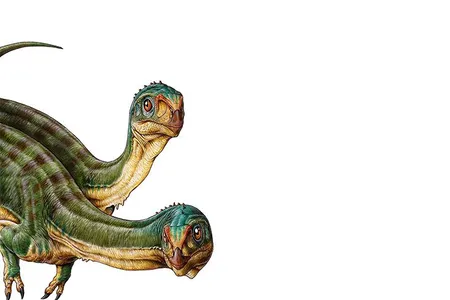 The Jurassic dinosaur Chilesaurus diegosuarez, a plant-eating theropod.