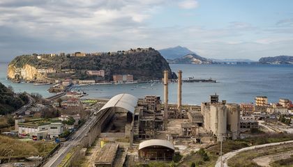 DNA Buried in Sediment Helps Scientists Picture Past Ecosystems