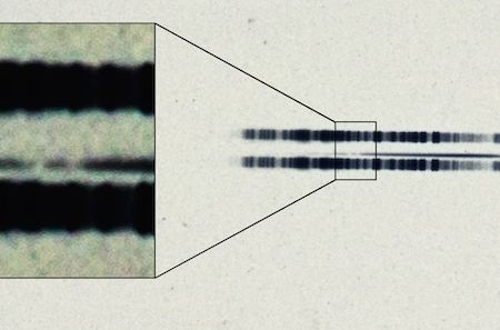 The 1917 photographic plate spectrum of van Maanen's star from the Carnegie Observatories’ archive.