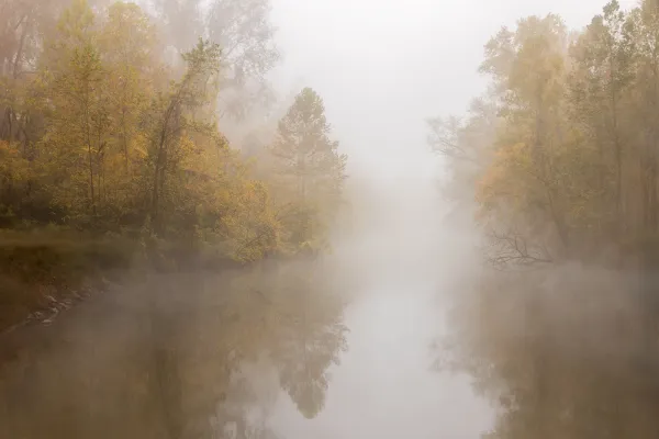 Morning Fog 2 thumbnail