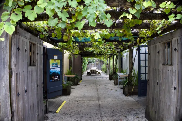 Vines' Alley thumbnail