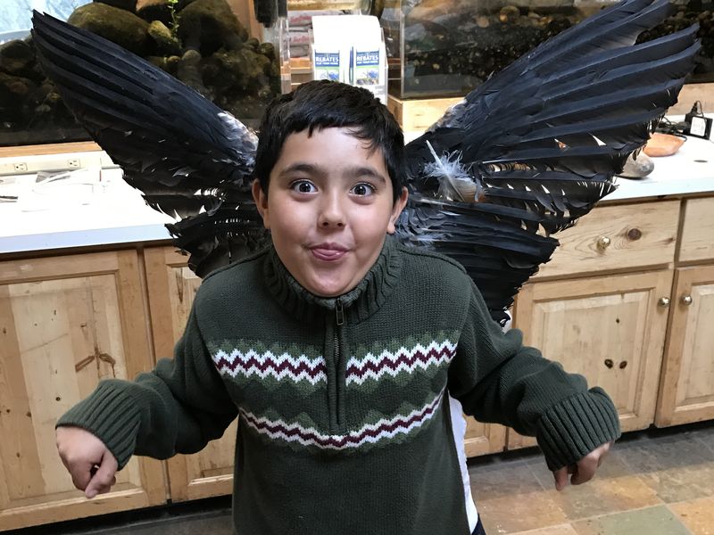 The Eagle Boy Smithsonian Photo Contest Smithsonian Magazine