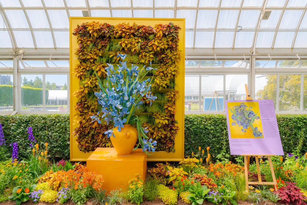Irises: Van Gogh Eren