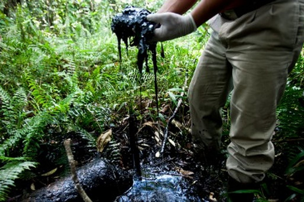Rainforest Action Network