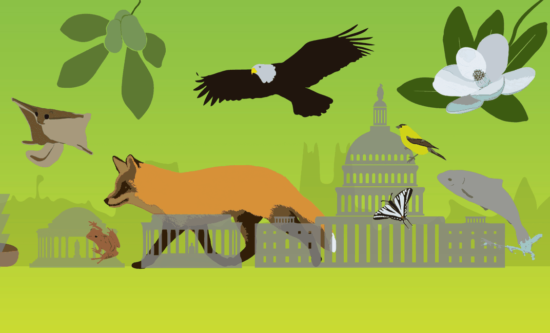 Green graphic of various animals next to the Capitol Building.