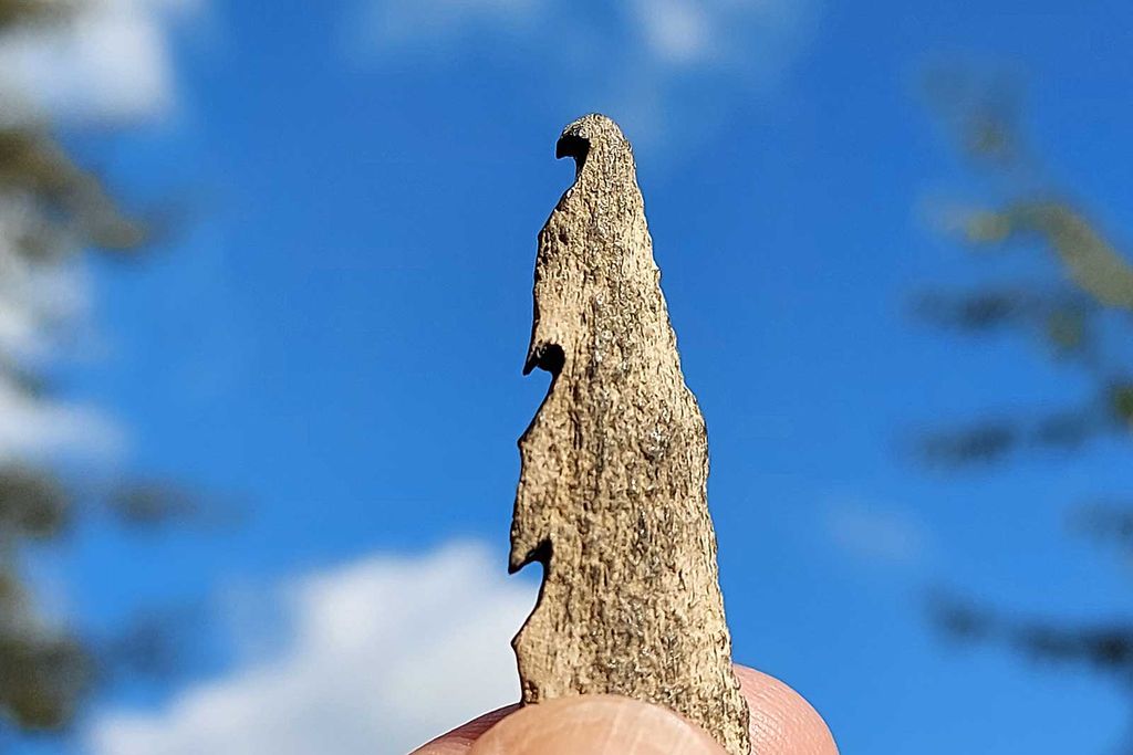 Human Bone Carved Into a Barbed Point