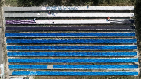 Dyeing the cloth thumbnail