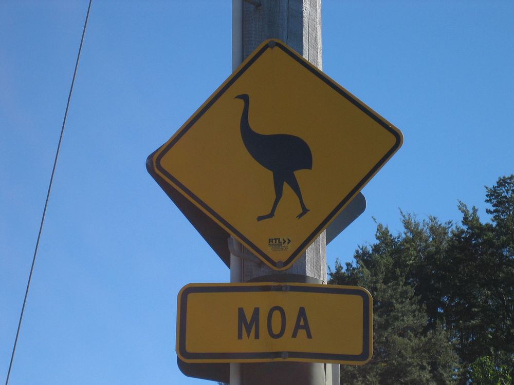 moa