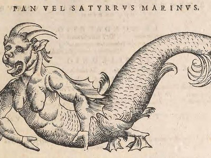 real mythical sea creatures