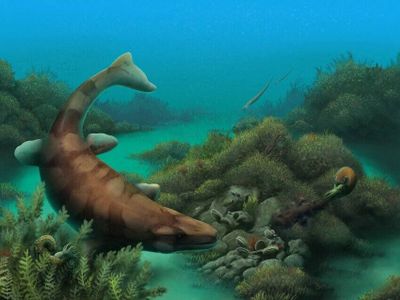 An artist imagines what&nbsp;Globidens alabamaensis would have looked like when present-day Texas was still submerged.