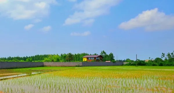 Living in the moment thumbnail