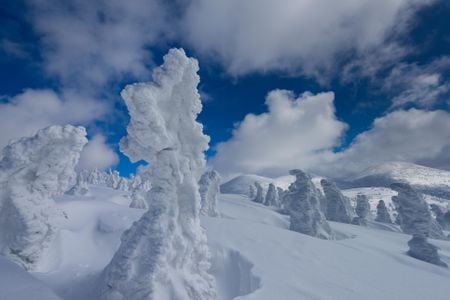 Ice and wind turn turn Japan's Maries’ fir trees into frozen figures.