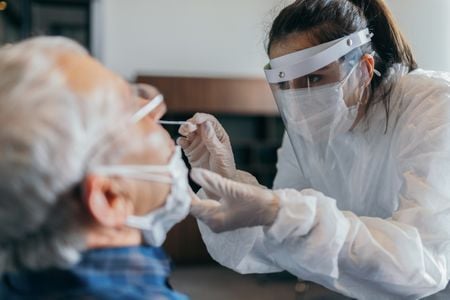 A new study sheds light on the timeline of the human immune response when confronted with SARS-CoV-2 and other infectious diseases.