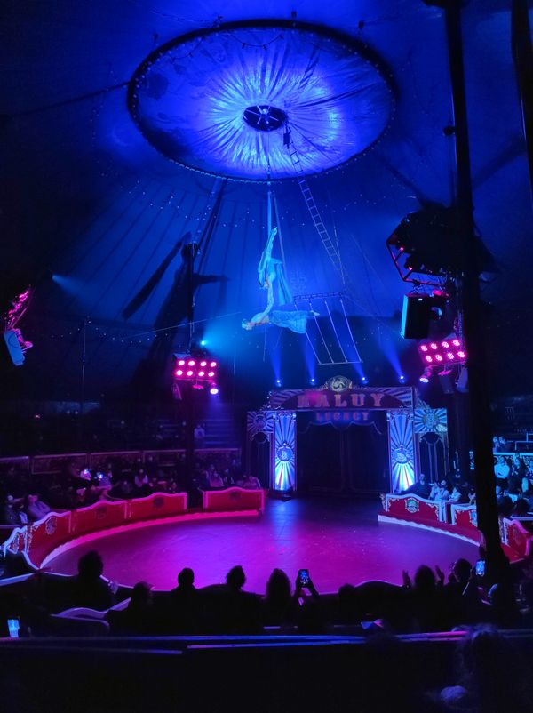 A circus night thumbnail
