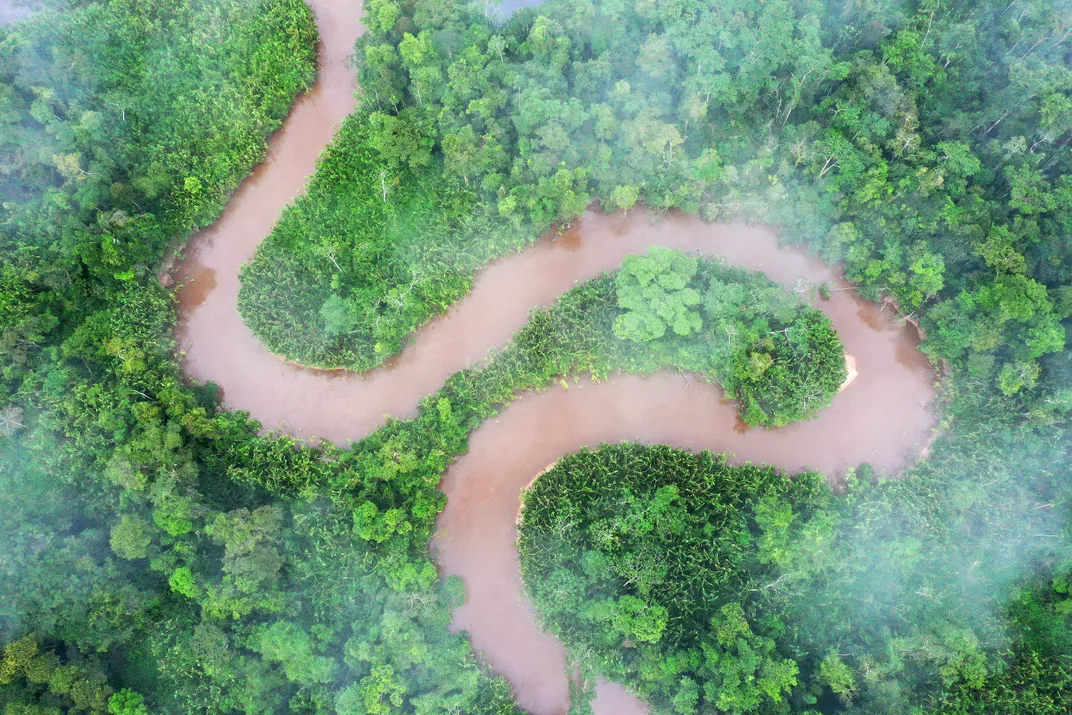 river in a rainforest landscape