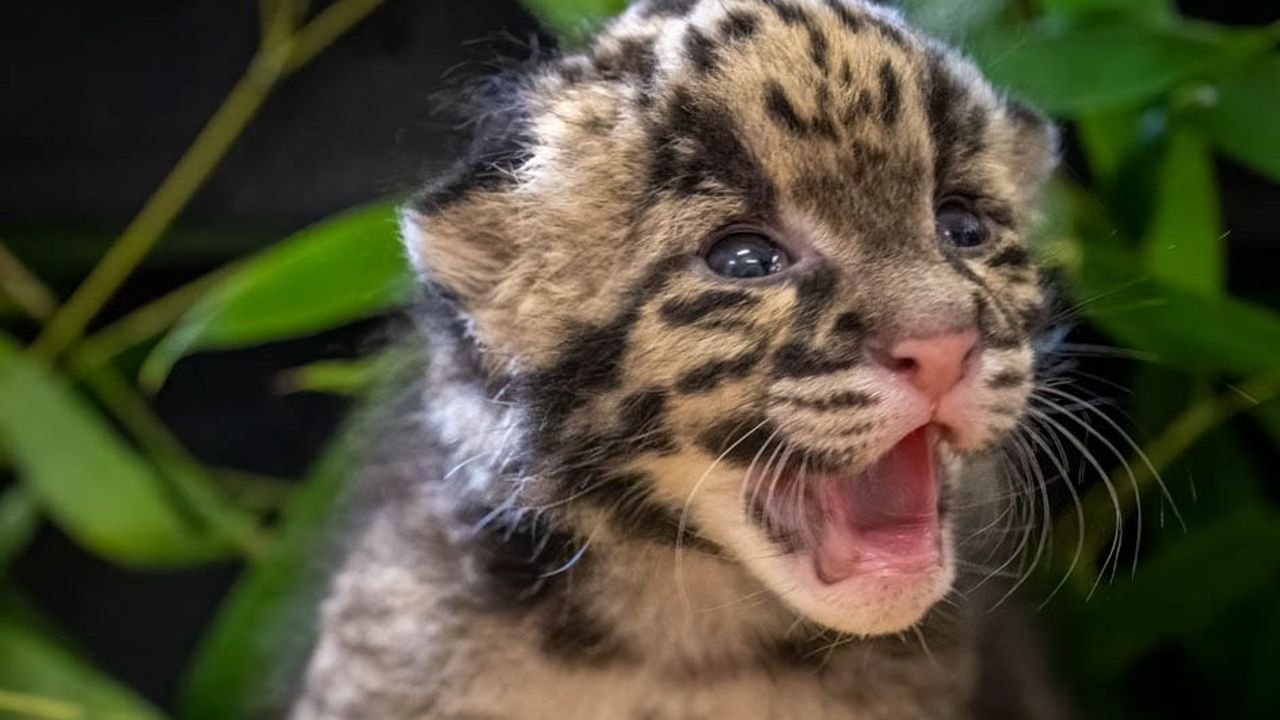 366718768_618004730453575_3680