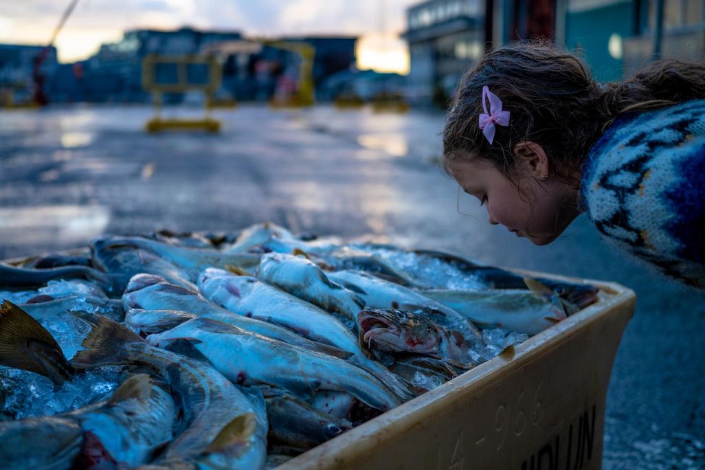 A photograph of a girl smelling a bin of fish.