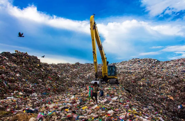 Searching for Essential survival items in the garbage dump beside the green nature thumbnail