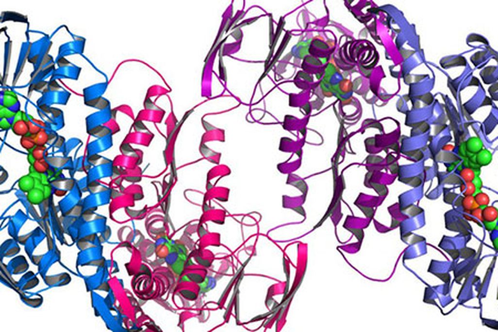 genomics-supreme-court-big.jpg