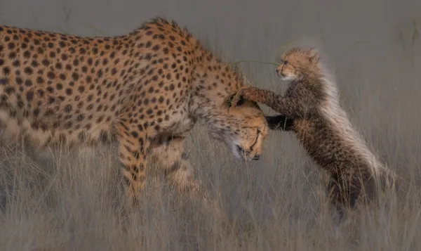 Mum And Her 6-Week-Old Kid thumbnail