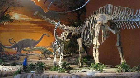 A Suarophaganax (left) harries an enormous Diplodocus at the New Mexico Museum of Natural History and Science