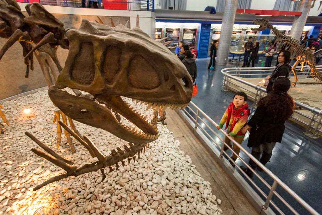 Kid and dinosaur