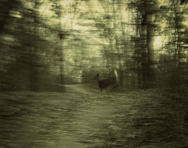 Crossing Paths thumbnail