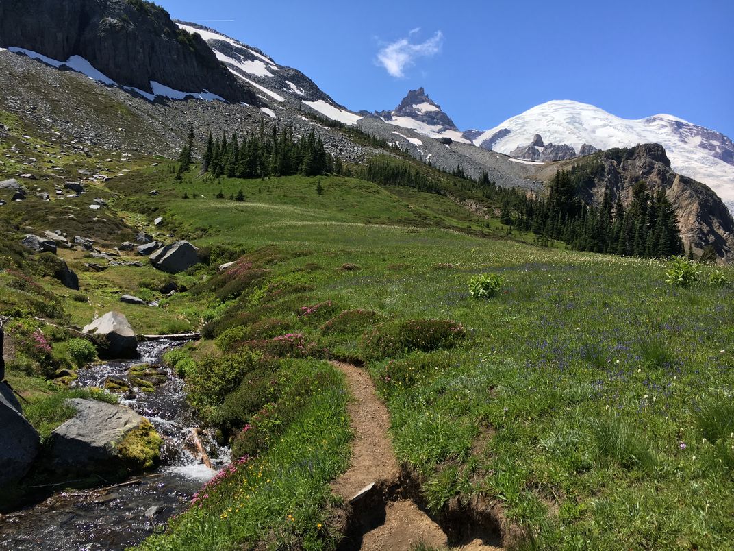 Summerland at Mt. Rainier | Smithsonian Photo Contest | Smithsonian ...