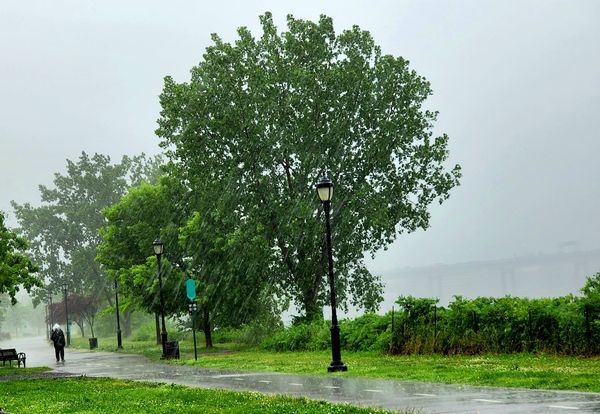 Stormy Walk thumbnail