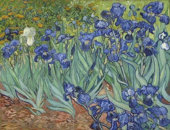 Vincent van Gogh , Irises. Dutch, 1889