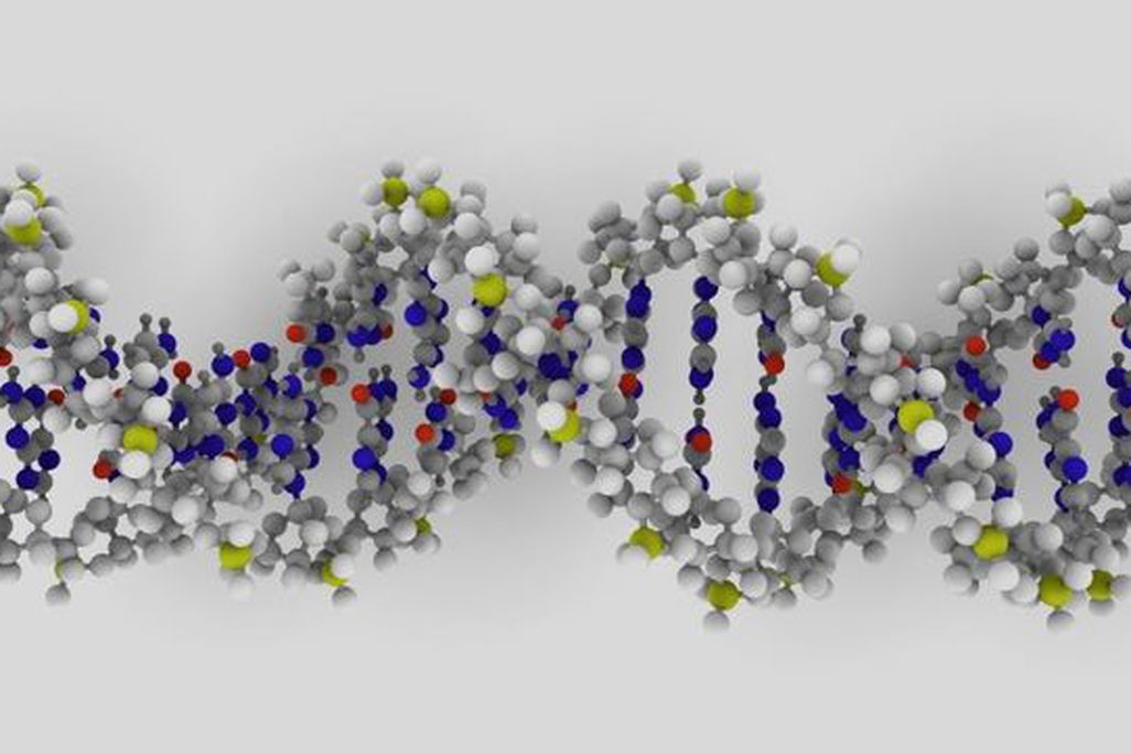 A DNA molecule