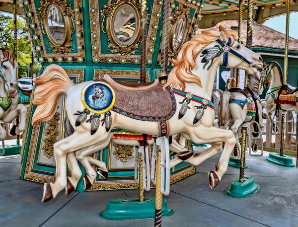 Ride The Painted Pony - Nikon D5500 DSLR thumbnail