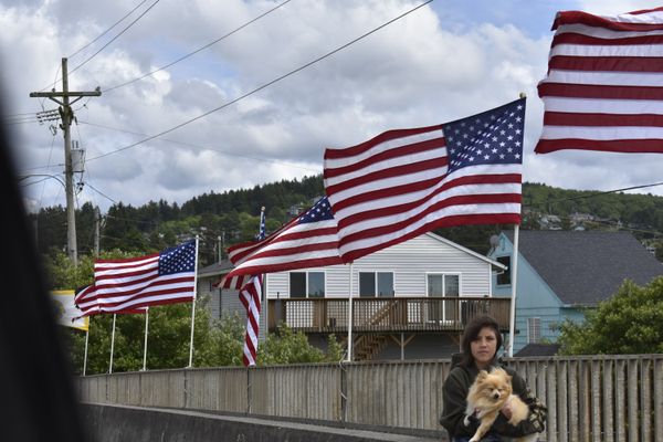 Memorial day flags on the Oregon Coast thumbnail