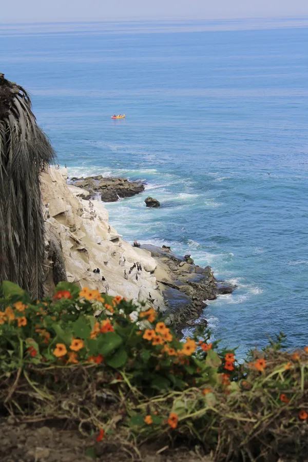 The beach at springtime thumbnail