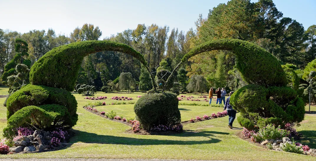 Topiary art at Pearl Fryar's home garden