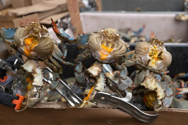 Blue Crab Lunch thumbnail