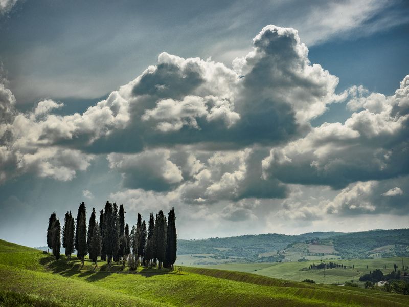 Cipressi di San Quirico d'Orcia, Italy Smithsonian Photo Contest Smithsonian Magazine