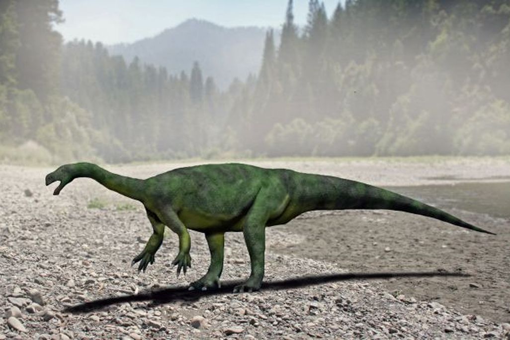 Aardonyx celestae