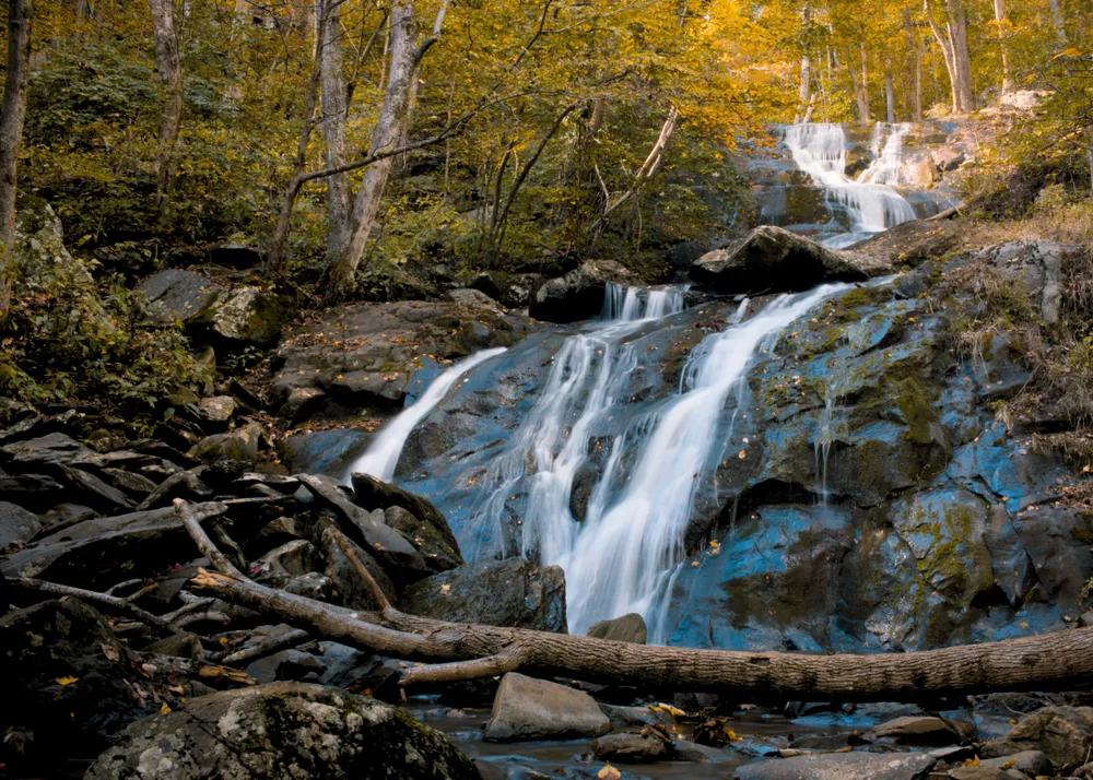 This photo is of the Upper Shamokin Falls in Wintergreen, Virginia. In planning a day trip with my kids, we decided to take a trip into the Blue Ridge Mountains. This was their first natural waterfall, and will always hold a special place in our hearts.