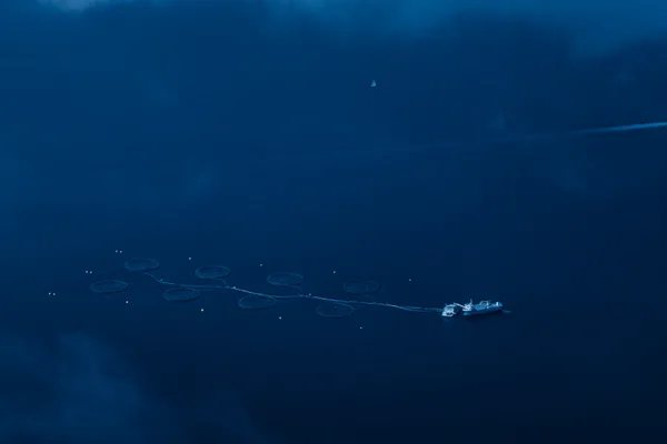 The blue trap thumbnail