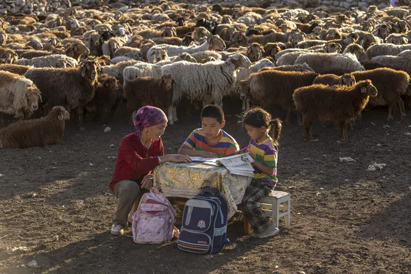 Light of hope on the grassland thumbnail