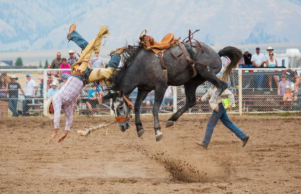 Airborne at the Rodeo thumbnail