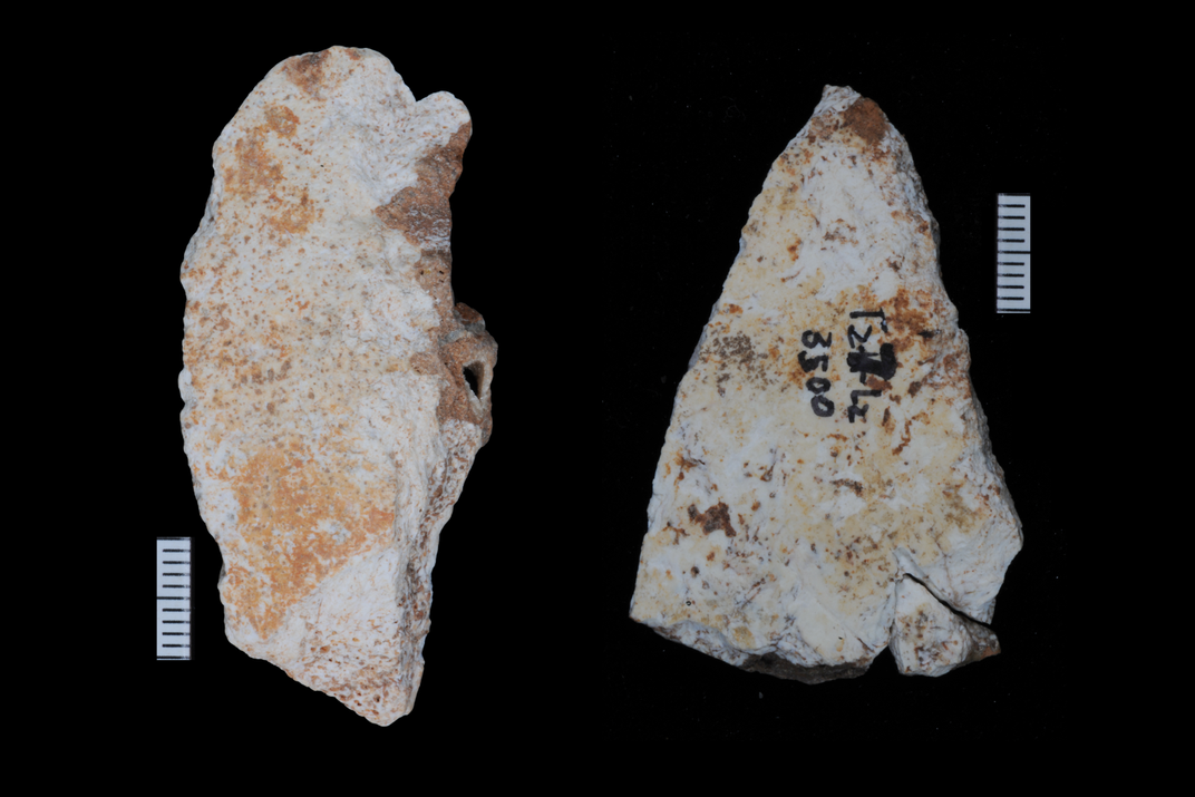two bone fragments on a black background