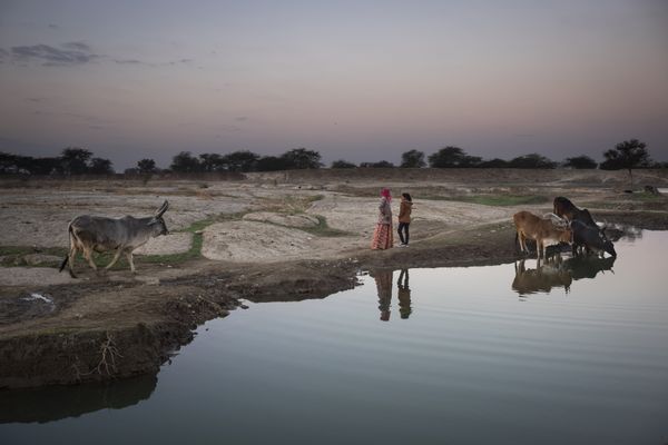 The Watering Hole, Chandelao, Rajasthan thumbnail