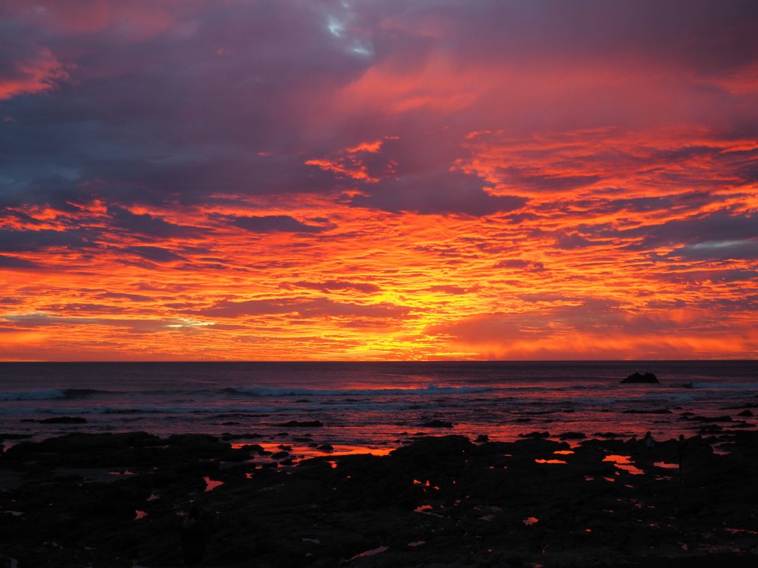 Golden Sunset | Smithsonian Photo Contest | Smithsonian Magazine