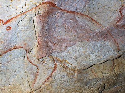 Cave bears loomed large in the Cro-Magnon mind as shown in this Chauvet cave painting.
