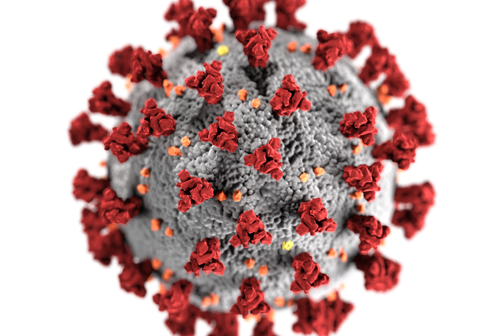 An illustration of the coronavirus with a gray center and red spikes