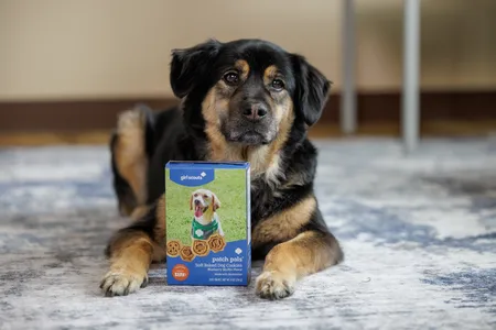 For the first time in more than a century of cookie sales, Girl Scouts of the USA has launched a dedicated dog treat.